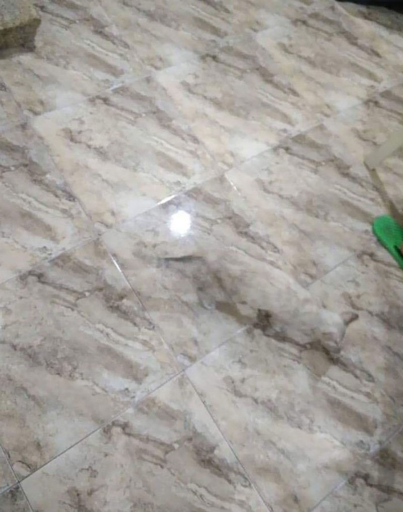 Foto Kamuflase Menipu Mata
