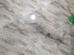 Yakin Mata Kamu Tidak Tertipu Lihat Foto Kamuflase Ini?