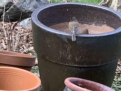 Yakin Mata Kamu Tidak Tertipu Lihat Foto Kamuflase Ini?