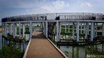 Gaes, Wisata Mangrove di Tangerang Penuh Spot Foto Keren Lho