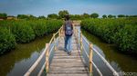 Gaes, Wisata Mangrove di Tangerang Penuh Spot Foto Keren Lho