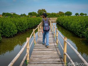 Memahami Abrasi: Pengertian, Penyebab, Dampak, dan Cara Mengatasinya