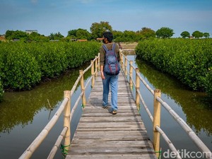 8 Wisata Alam Hits dan Murah di Tangerang, Yuk Healing Gratis