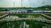 Beberapa bagian masih dalam tahap pengerjaan, seperti jembatan yang membentang di antara vegetasi mangrove.
