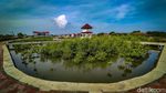 Gaes, Wisata Mangrove di Tangerang Penuh Spot Foto Keren Lho
