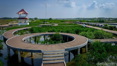 Gaes, Wisata Mangrove di Tangerang Penuh Spot Foto Keren Lho