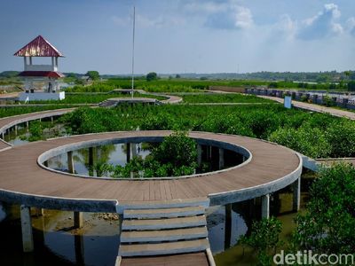 Gaes, Wisata Mangrove di Tangerang Penuh Spot Foto Keren Lho