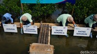 Penanaman bibit mangrove dilatarbelakangi perubahan iklim. Karena itu, perusahaan harus terlibat dalam menjaga dan memelihara alam.  