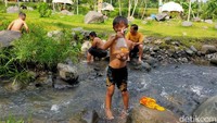 Airnya yang jernih membuat wisatawan bisa menemukan ikan! (Tasya Khairally/detikcom)