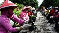 Sejumlah perempuan yang mengenakan pakaian tradisional menanam bibit tanaman kunyit hitam pada polybag saat memperingati Hari Ibu 2021 di Ngrowo Bening, Kota Madiun, Jawa Timur, Rabu (22/12/2021). Peringatan Hari Ibu di Kota Madiun yang diikuti ratusan anggota Pemberdayaan Kesejahteraan Keluaga (PKK) dan Dharma Wanita digelar dengan kegiatan apel dilanjutkan penanaman 5.000 bibit kunyit hitam. ANTARA FOTO/Siswowidodo