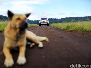 Road Trip Jadi Pilihan di Masa Pandemi, Begini Kata Sandiaga Uno