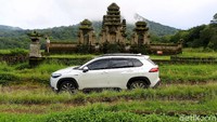 Area ini tidak selalu ramai dan tentunya sangat nyaman sekali untuk yang suka menyendiri dan sepi. Sehingga yang menginginkan liburan yang sepi dan tenang, bisa pergi ke danau yang indah ini. Selain itu, danau ini dekat dengan Danau Buyan dan Danau Beratan.