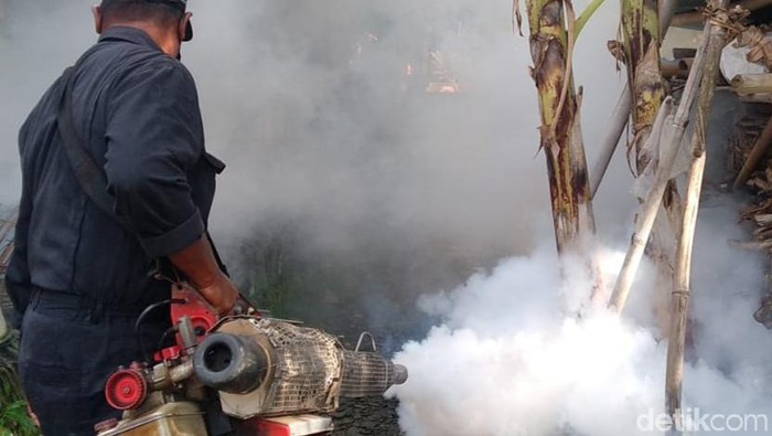 Chikungunya di klaten Chikungunya di klaten