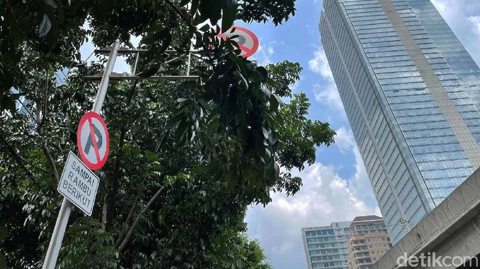 Rambu lalu lintas di kawasan Tanah Abang, Jakarta, tampak tertutup ranting dan dedaunan. Akibatnya, pengguna jalan pun sulit untuk melihat rambu lalu lintas itu