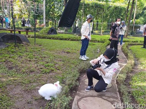 Jelang Libur Nataru, Taman Kyai Langgeng Tambah Wahana Edukasi Kelinci