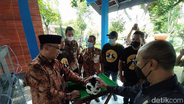 Jelang Libur Nataru, Taman Kyai Langgeng Tambah Wahana Edukasi Kelinci