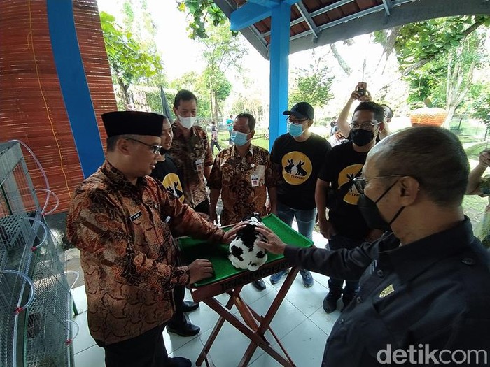 Jelang Libur Nataru, Taman Kyai Langgeng Tambah Wahana Edukasi Kelinci Jelang Libur Nataru, Taman Kyai Langgeng Tambah Wahana Edukasi Kelinci