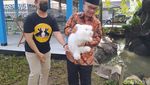 Potret Wahana Baru di Taman Kyai Langgeng: Rumah Kelinci