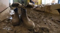 Tak hanya merusak rumah serta kendaraan milik warga, banjir besar yang merendam sejumlah wilayah di Malaysia turut merenggut nyawa sejumlah orang. Laporan kantor berita Malaysia, Bernama, menyebut jumlah korban tewas bertambah menjadi sedikitnya 27 orang. Angka itu terdiri atas 20 orang tewas di Selangor dan tujuh orang lainnya tewas di Pahang. Jumlah korban tewas diperkirakan masih bisa bertambah dengan banyaknya laporan orang hilang akibat banjir. 