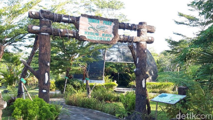 Nataru, Kebun Raya Indrokilo Boyolali Tutup 3 Hari Lur