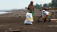 Sebagai bentuk edukasi, penanaman bibit mangrove diawali dengan kegiatan bersih-bersih pantai terutama sampah plastik yang dilakukan oleh karyawan PT Asahimas Chemical bersama-sama dengan sejumlah siswa SD Panimbang Jaya dan masyarakat sekitar.