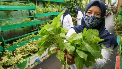 Pertanian Kota Makin Diminati di Masa Pandemi