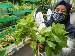 Pertanian Kota Makin Diminati di Masa Pandemi
