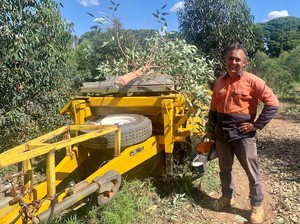 Petani di Australia Mencoba Kemungkinan Pembangkit Listrik dari Pohon