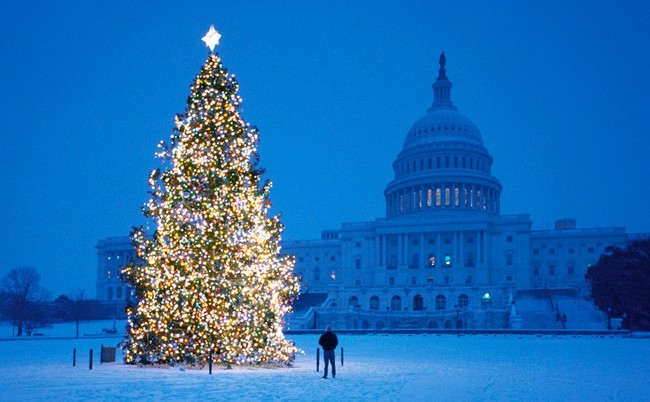 Pohon Natal yang dipajang di depan gedung Capitol, Washington, DC, ini tingginya melebihi 20 meter. Perlu ribuan bola lampu untuk menghias pohon Natal raksasa berduri ini. Dilansir Finances Online, pohon ini bernilai Rp 14 miliar. Foto: Istimewa