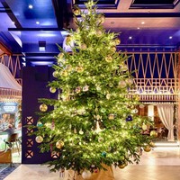 Inilah pohon Natal yang disebut-sebut termahal di dunia. Saat Natal 2019, Kempinski Hotel Bahia di Spanyol menghiasi area lobinya dengan pohon Natal setinggi 6 meter yang dihiasi benda-benda mahal. Salah satunya berlian merah bentuk oval. Terdapat pula ornamen berlian pink, 9 berlian hitam dan hiasan berbentuk lembaran uang dollar terbuat dari emas 24 karat. Nilai pohon Natal mewah ini ditaksir mencapai Rp 211 miliar. Foto: Istimewa