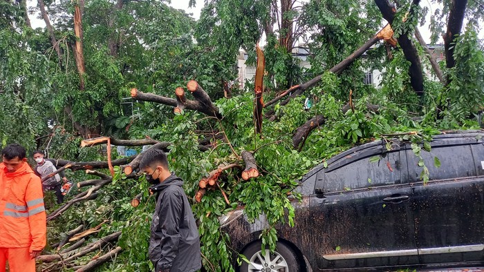 Pohon tumbang di Tangerang (Khairul-detikcom)