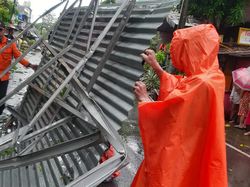 Rumah Warga Rusak-Pohon Tumbang Akibat Angin Kencang di Mamuju