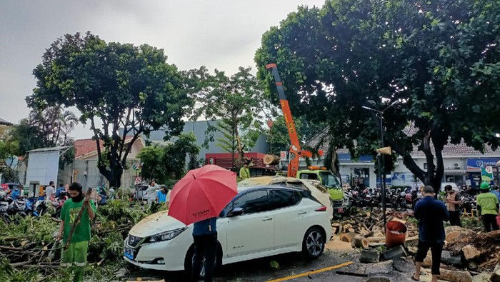 Salah satu mobil yang tertimpa pohon tumbang di parkiran RS Pelni, Jakbar