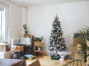 Natal dan Kelahiran Kasih