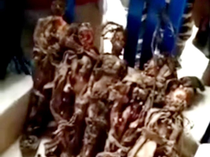 Tangkapan layar video viral penemuan 5 boneka mirip jenglot di Luwu, Sulsel. (dok. Istimewa)