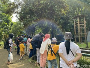 Wisata Jakarta yang Sudah Buka: Ini Daftar dan Jadwal Operasionalnya