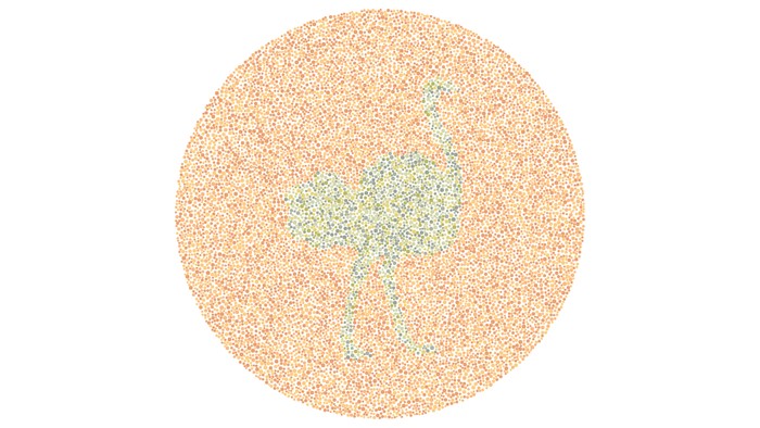 Asah otak detikHealth.