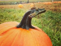 Unik! Deretan Benda Sekitar yang Tampak Punya Wajah