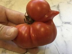 Unik! Deretan Benda Sekitar yang Tampak Punya Wajah