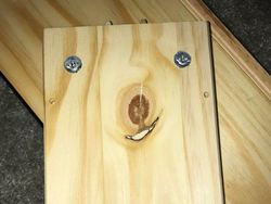 Unik! Deretan Benda Sekitar yang Tampak Punya Wajah