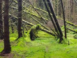 Unik! Deretan Benda Sekitar yang Tampak Punya Wajah