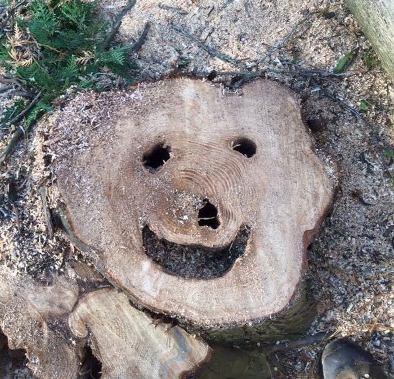 Fotoinet kumpulan benda sekitar yang punya 'wajah'