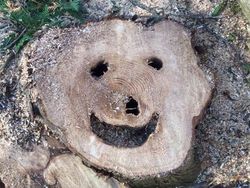 Unik! Deretan Benda Sekitar yang Tampak Punya Wajah