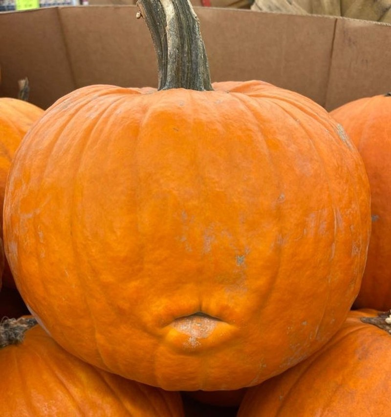 Fotoinet kumpulan benda sekitar yang punya 'wajah'