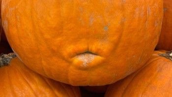 Labu siam yang punya bibir. Foto: Brightside