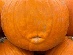 Unik! Deretan Benda Sekitar yang Tampak Punya Wajah