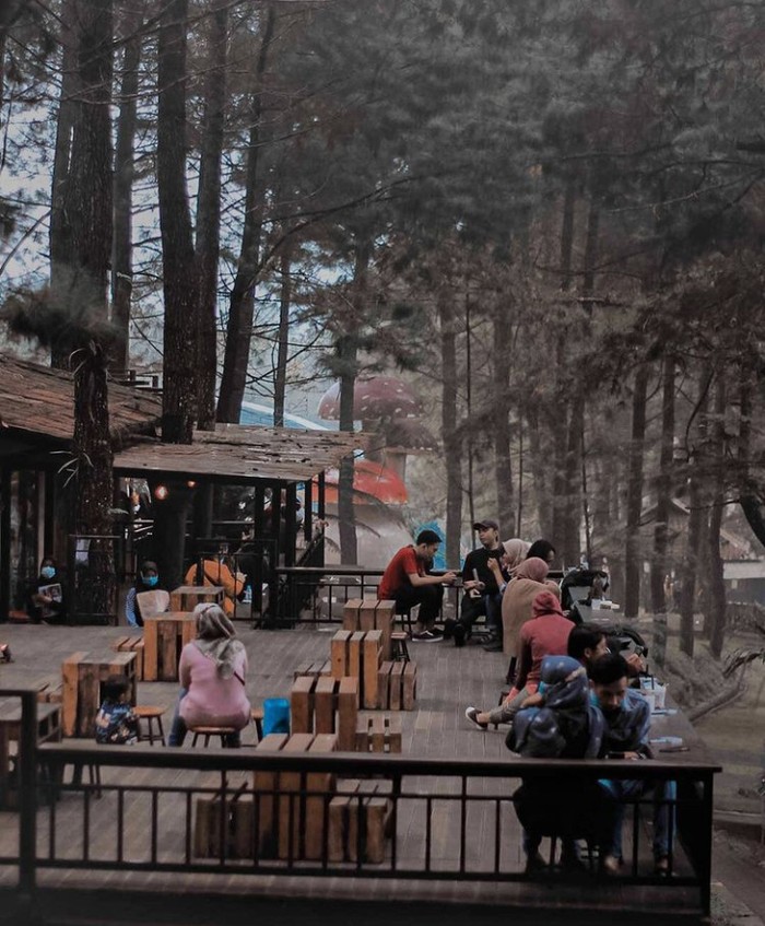 Kafe di Bogor dengan Suasana Sejuk dan Pepohonan Rindang