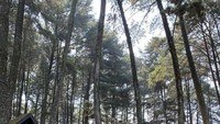 Dijaga suasana alamnya yang asri, kafe Pasir Angin menjadi pilihan tepat untuk disambangi bersama keluarga. Berlokasi di Gadog, kamu bisa beristirahat sejenak sambil bersantai di sini. Foto: Instagram/pasiranginpas
