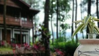 Area makan yang sengaja disediakan menggunakan bean bag membuat pelanggannya tertarik untuk datang. Suasana yang sejuk dan Instagramable di Jambul Coffee semakin lengkap dengan pemandangan dari ketinggian yang indah. Foto: Instagram/jambulcoffee