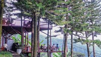 Kafe yang menjadi bagian dari sebuah resort ini dikenal dengan suasananya yang sejuk. Menghadap langsung ke Gunung Pangrango membuat Damar Langit sangat tepat untuk menikmati pemandangan yang indah. Foto: Instagram/damarlangitresort